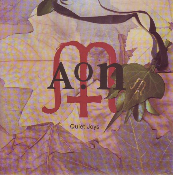 AON  - Quiet Joys