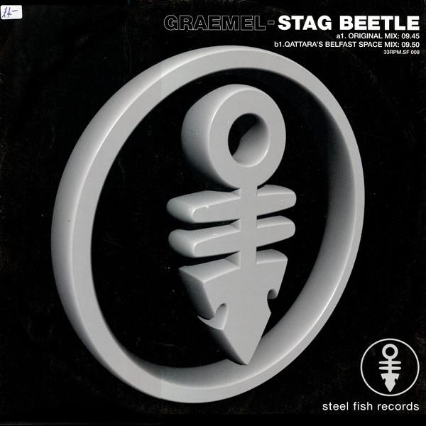 Graeme Laverty - Stag Beetle