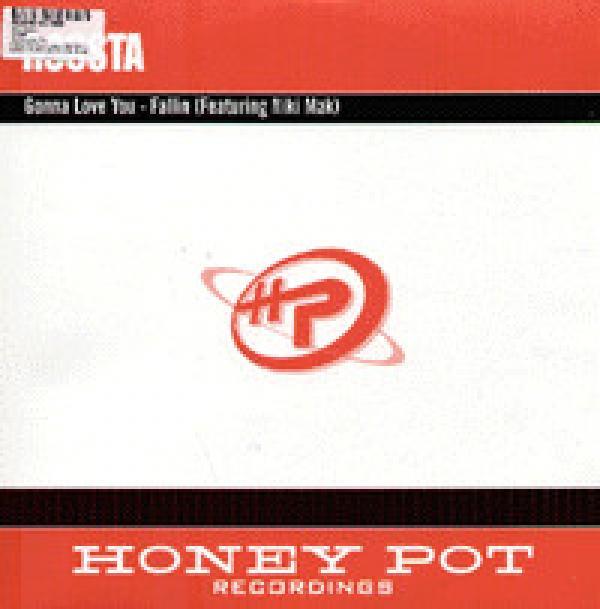 Roosta - Gonna Love You / Fallin