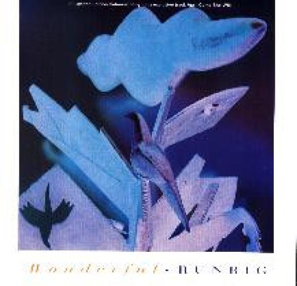 Runrig - Wonderful