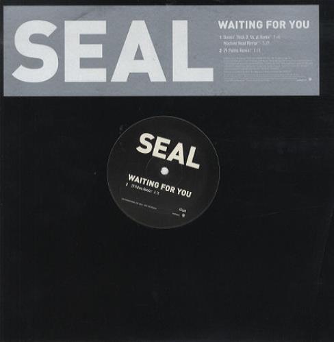 Seal - Waiting For You