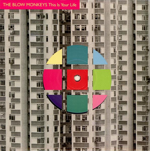 The Blow Monkeys - This Is Your Life