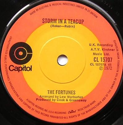The Fortunes - Storm In A Teacup