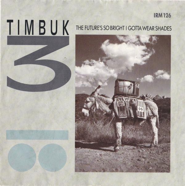Timbuk 3 - The Future's So Bright I Gotta Wear Shades