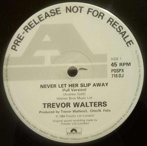 Trevor Walters - Never Let Her Slip Away